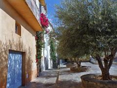 183 HYERES ET SES PALMIERS D13_000037